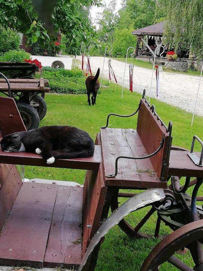 Kucuru Dzirnavas Hotell Lautere Eksteriør bilde